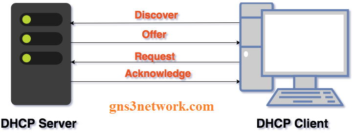 dhcp-dora-process
